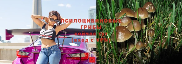 спайс Богданович