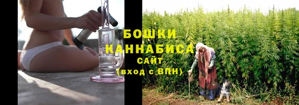 спайс Богданович