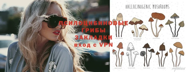 твердый Богородск