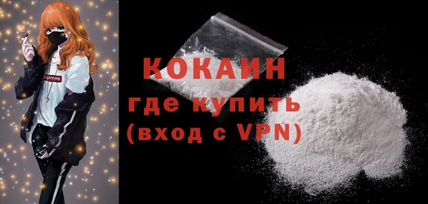 твердый Богородск